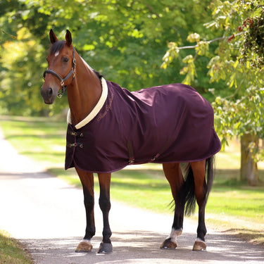 Shires Black Cherry Shires Deluxe Stable Sheet| Online For Equine
