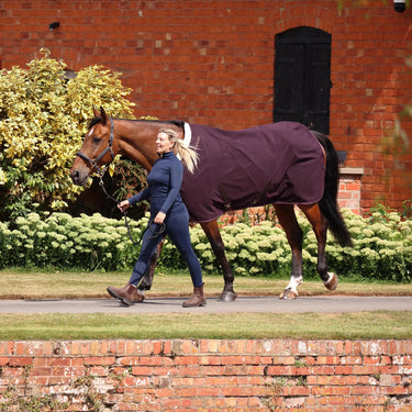 Shires Black Cherry Shires Deluxe Stable Sheet| Online For Equine