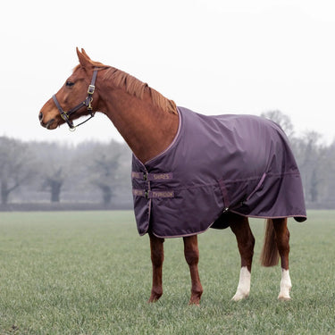 Shires Black Cherry Typhoon 100g Turnout Rug| Online For Equine