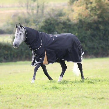 Shires Black Highlander Plus 200g Combo Turnout Rug| Online For Equine