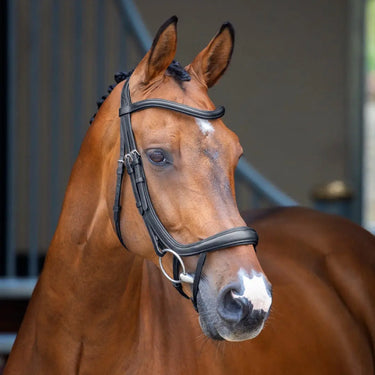 Shires Black Lusso Ergonomic Curved Flash Bridle| Online For Equine
