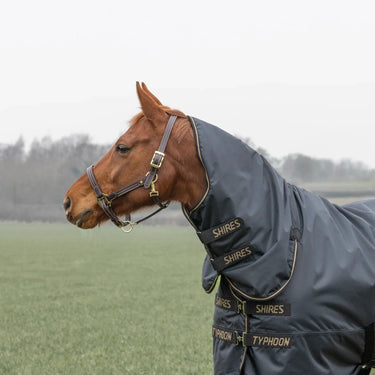 Shires Black Typhoon 50g Combo Turnout Rug| Online For Equine