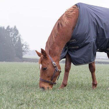 Shires Black Typhoon 50g Turnout Rug| Online For Equine