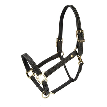 Shires Black Velociti Lusso Girona Leather Headcollar| Online For Equine