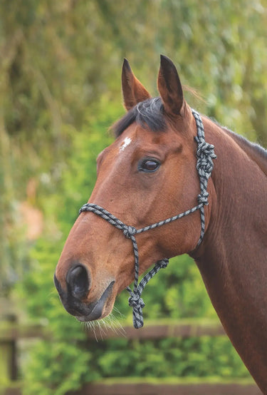 Buy Shires Black/White Rope Control Headcollar| Online for Equine