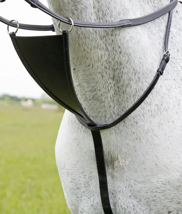 Buy Shires Blenheim Bib Martingale| Online for Equine