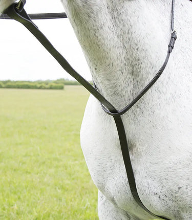 Buy Shires Blenheim Standing Martingale| Online for Equine