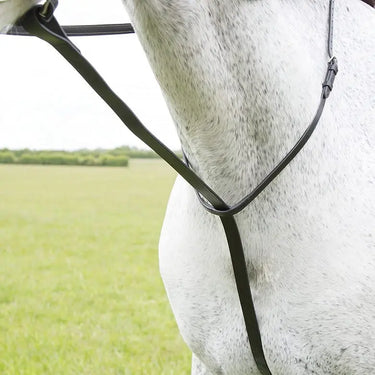 Shires Blenheim Standing Martingale| Online For Equine