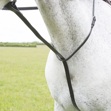 Shires Blenheim Standing Martingale| Online For Equine