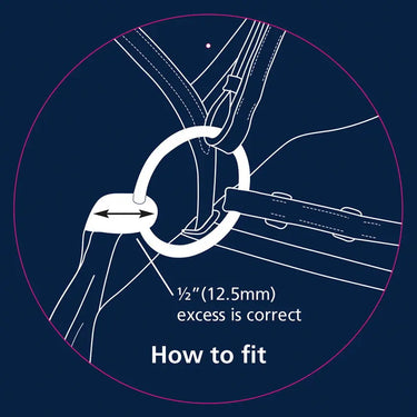 Buy Shires Blue Sweet Iron Two Ring Gag With Lozenge| Online for Equine