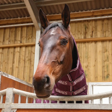 Shires Burgundy Tempest Original 300g Combo Stable Rug| Online For Equine