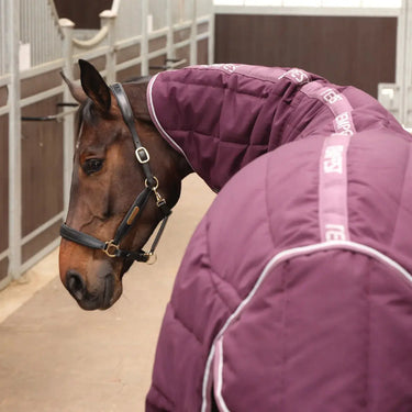 Shires Burgundy Tempest Original 300g Stable Rug & Neck Set| Online For Equine