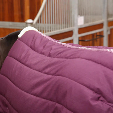Shires Burgundy Tempest Original 300g Stable Rug| Online For Equine