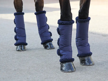Buy Shires Compact Travel Boots| Online for Equine