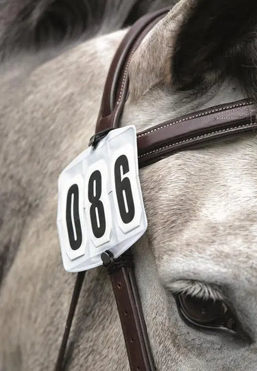 Buy Shires Competition Number Kit - One Size| Online for Equine