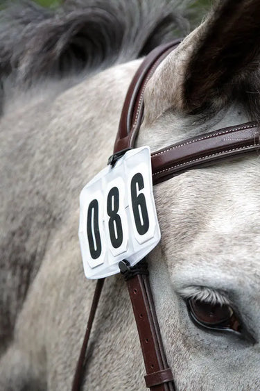 Buy Shires Competition Number Kit - One Size| Online for Equine