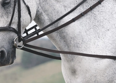 Shires Cotton Web Draw Reins| Online For Equine