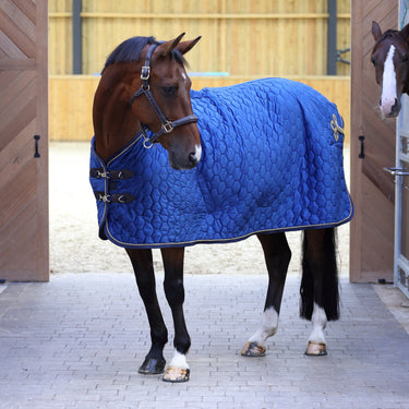 Shires Deluxe Quilted Show Rug| Online For Equine