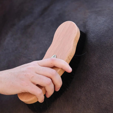 Buy Shires EZI-GROOM Premium Dandy Brush| Online for Equine