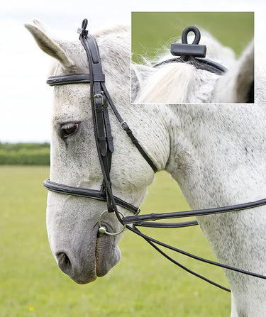 Buy Shires Elastic Training Reins-One Size-Black| Online for Equine