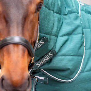Shires Emerald Tempest Original 200g Stable Rug & Neck Set| Online For Equine