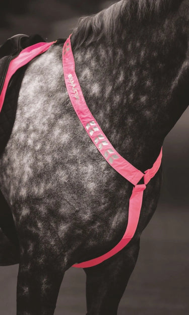Buy Shires Equi-Flector Breastplate| Online for Equine