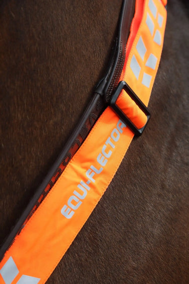 Buy Shires Equi-Flector Breastplate| Online for Equine