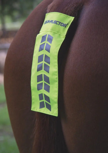 Buy Shires Equi-Flector Reflective Tail Strap| Online for Equine