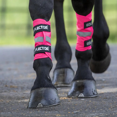 Buy Shires Equi-Flector Wraps| Online for Equine