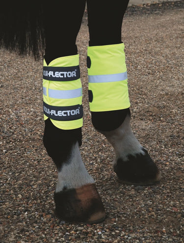 Buy Shires Equi-Flector Wraps| Online for Equine