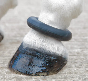 Buy Shires Fetlock Ring-One Size-As Supplied| Online for Equine