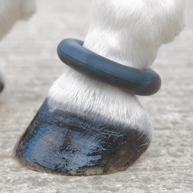 Shires Fetlock Ring-One Size-As Supplied| Online For Equine