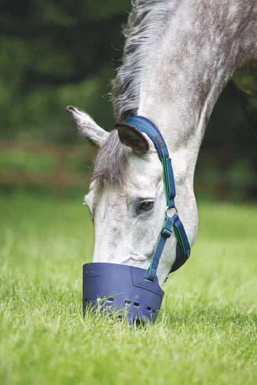 Buy Shires Flexi-Grazer Grazing Muzzle| Online for Equine