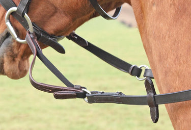 Buy Shires Flexi-Rein| Online for Equine