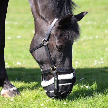 Shires FreeGraze Detachable Grazing Muzzle Black| Online For Equine