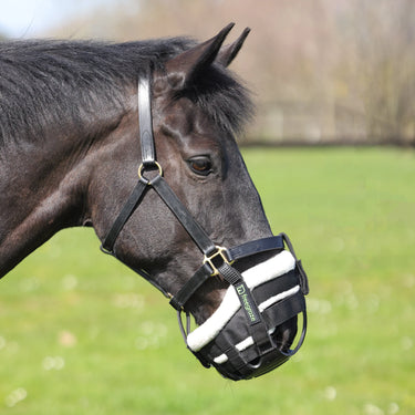 Shires FreeGraze Detachable Grazing Muzzle Black| Online For Equine