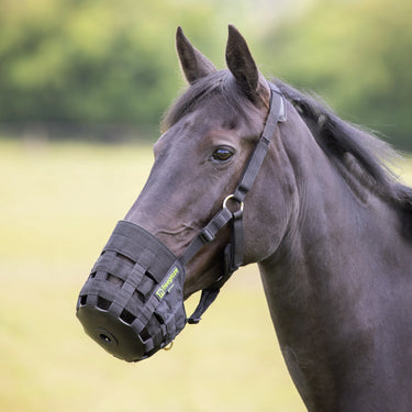 Buy Shires Freegraze Comfort Grazing Muzzle| Online for Equine