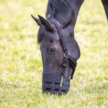 Buy Shires Freegraze Comfort Grazing Muzzle| Online for Equine
