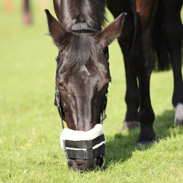 Shires Freegraze Deluxe AirFlow Comfort Grazing Muzzle| Online For Equine