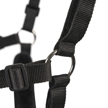 Shires Freegraze Deluxe AirFlow Comfort Grazing Muzzle| Online For Equine