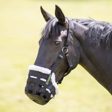 Buy Shires Freegraze Deluxe Comfort Grazing Muzzle| Online for Equine