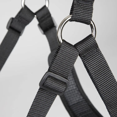 Buy Shires Freegraze Deluxe Comfort Grazing Muzzle| Online for Equine