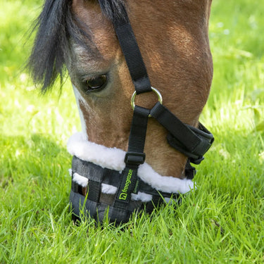Buy Shires Freegraze Deluxe Comfort Grazing Muzzle| Online for Equine
