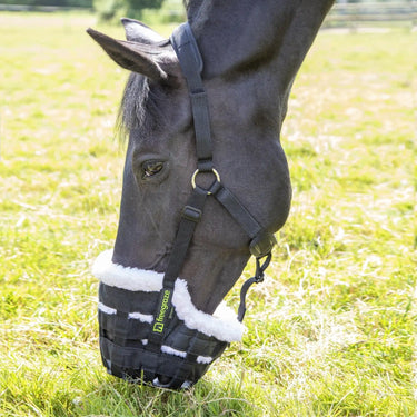 Buy Shires Freegraze Deluxe Comfort Grazing Muzzle| Online for Equine