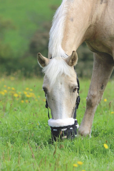 Buy Shires Freegraze Deluxe Comfort Grazing Muzzle| Online for Equine
