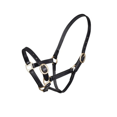 Buy Shires GARA Adjustable Leather Headcollar| Online for Equine