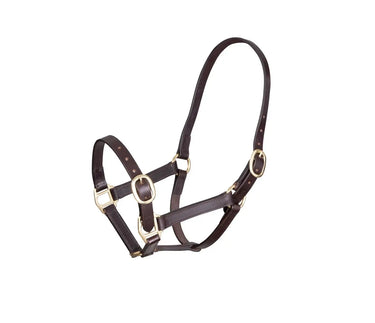 Buy Shires GARA Adjustable Leather Headcollar| Online for Equine