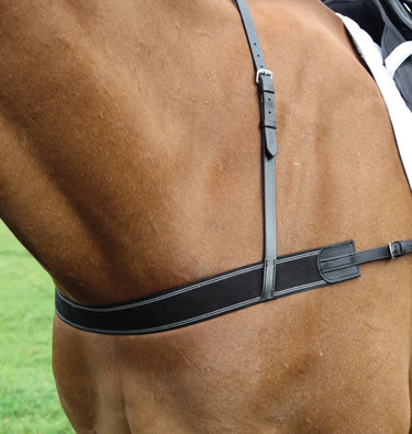 Buy Shires GARA Elastic Breastgirth| Online for Equine