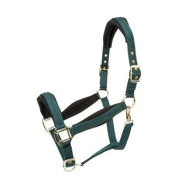 Shires Green ARMA Padded Headcollar| Online For Equine