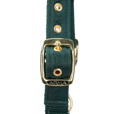 Shires Green ARMA Padded Headcollar| Online For Equine